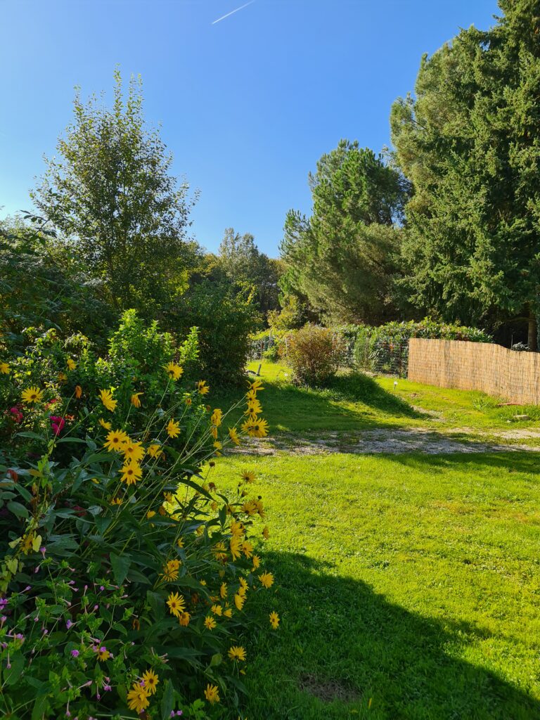 Beauté du jardin été dans le perche